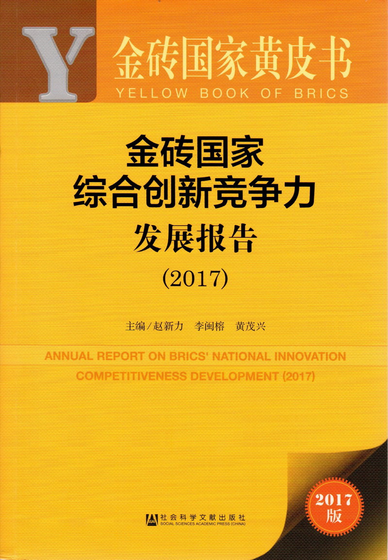 日本人操逼视频金砖国家综合创新竞争力发展报告（2017）